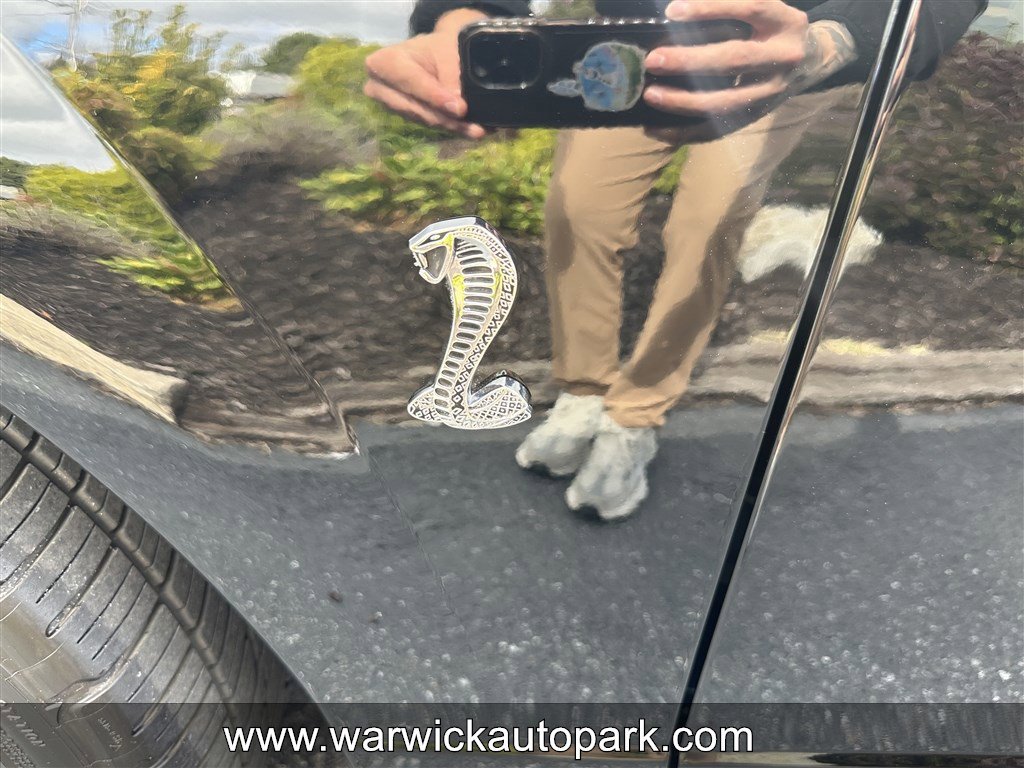 Used 2004 Ford Mustang Cobra RWD image 5