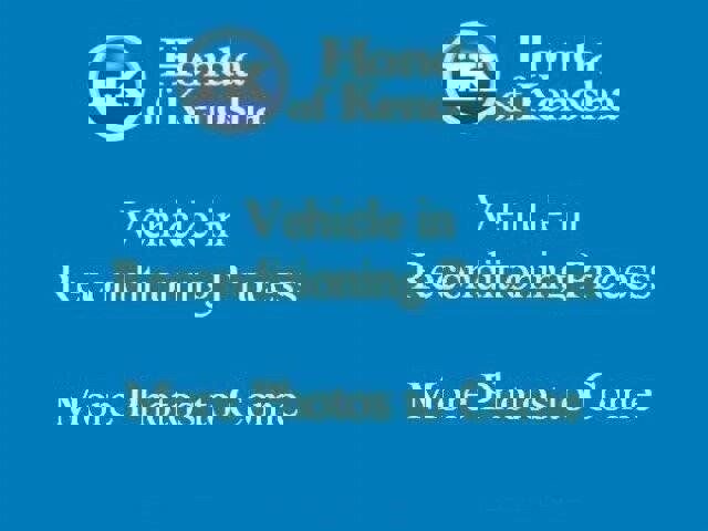 Used 2020 Ford Expedition Max Platinum image 9