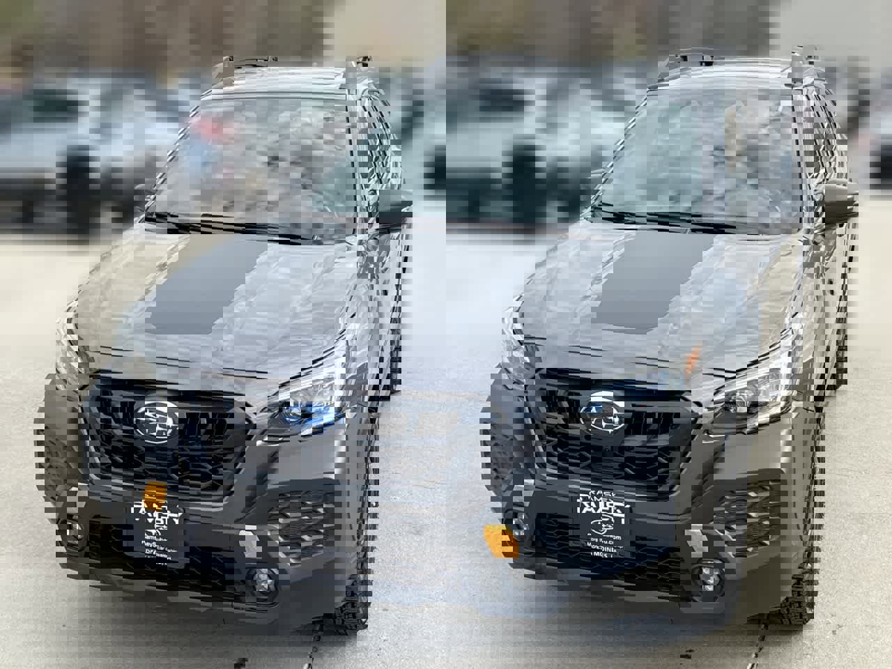 Used 2025 Subaru Outback Wilderness