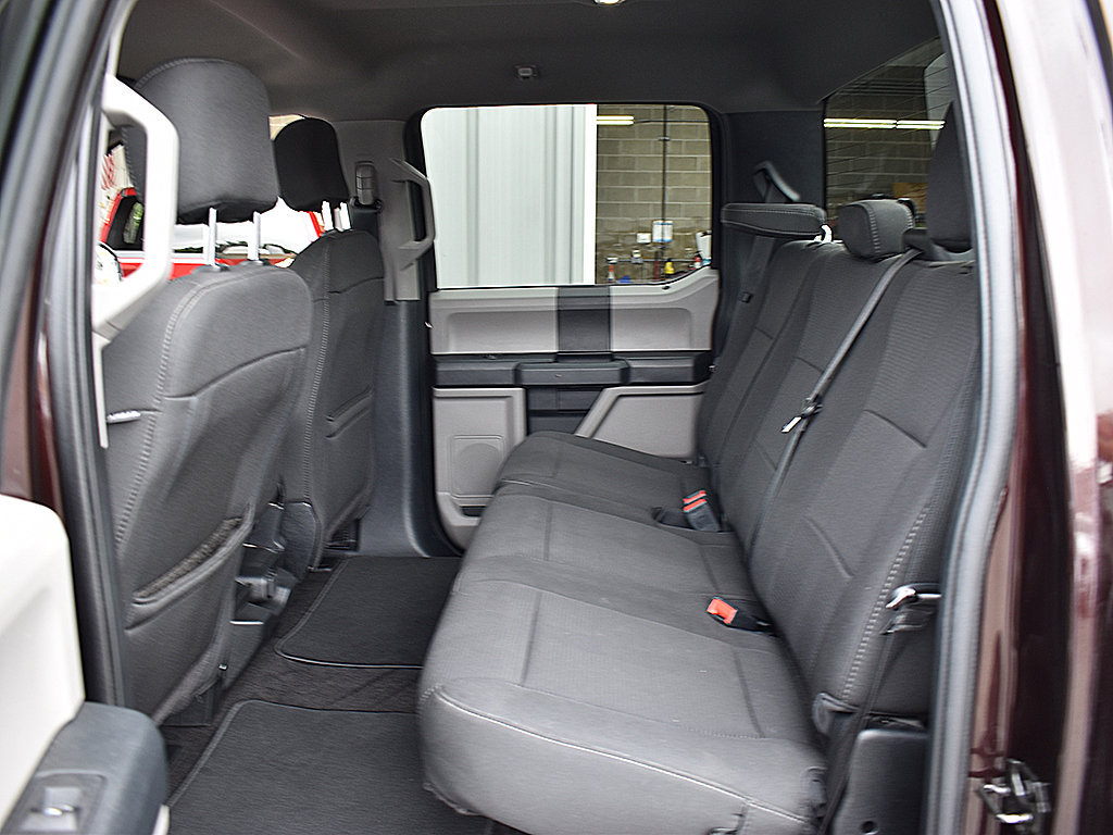 Used 2019 Ford F150 XL w/ Equipment Group 101A Mid AWD/4WD image 6