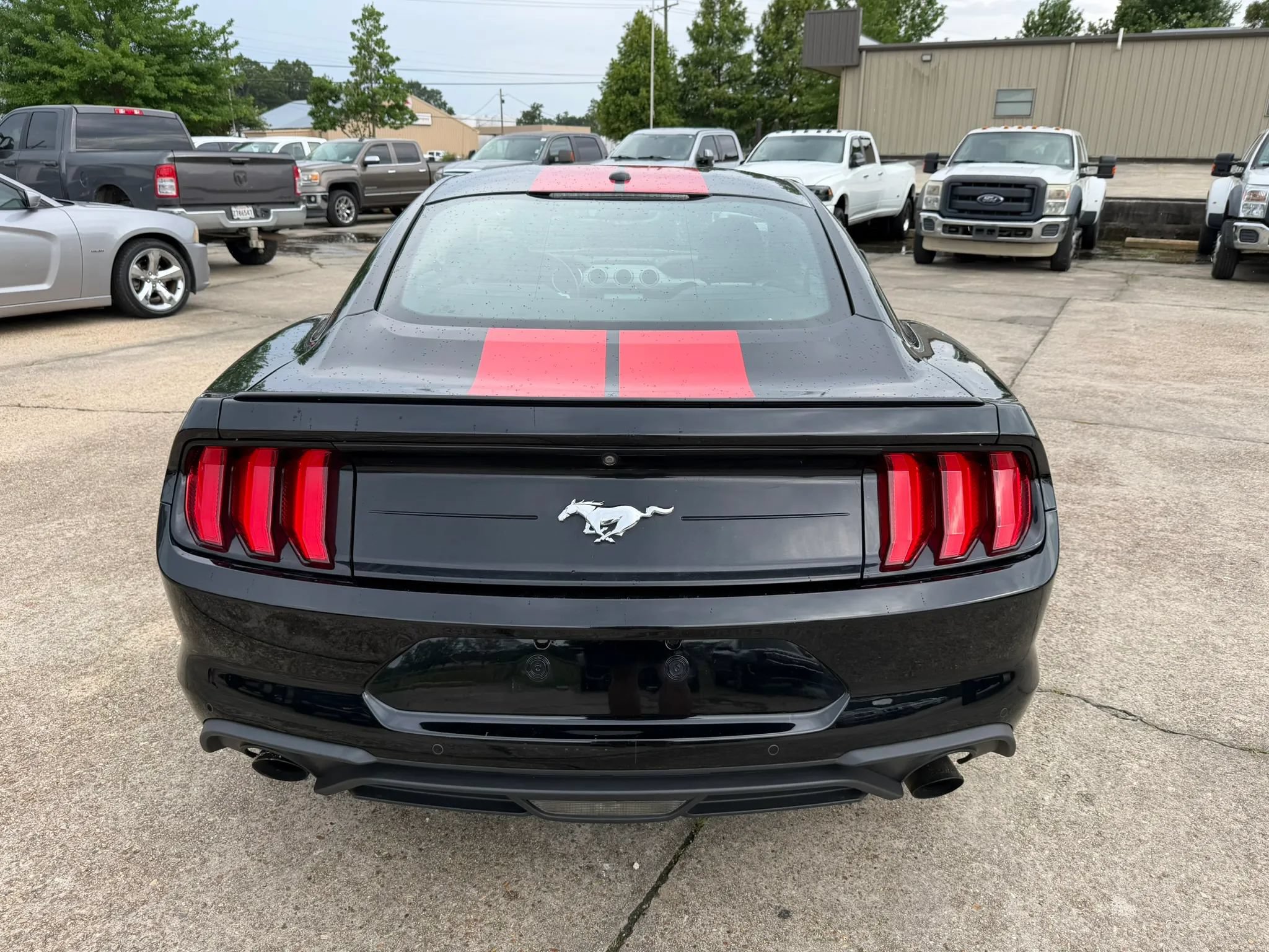 Used 2019 Ford Mustang Coupe w/ Equipment Group 101A RWD image 5