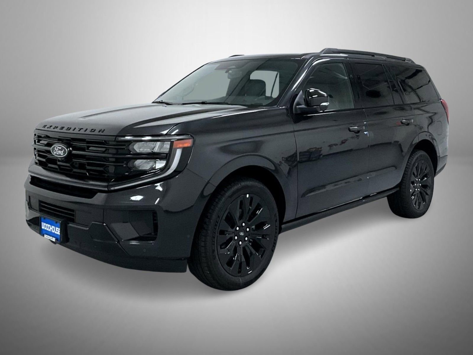 New 2025 Ford Expedition Platinum image 1