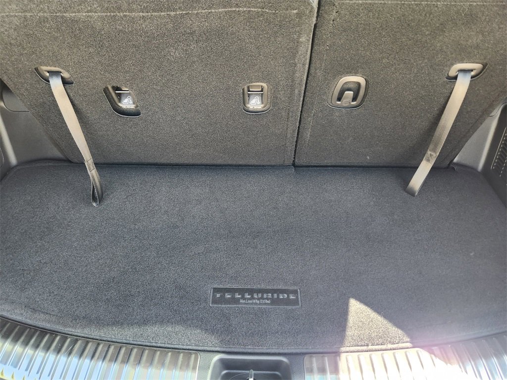 New 2025 Kia Telluride SX Prestige X-Line image 22