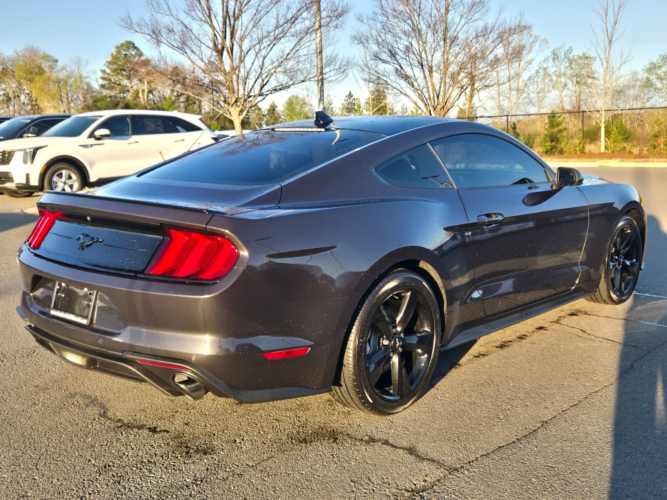 Used 2023 Ford Mustang EcoBoost w/ Equipment Group 101A image 7