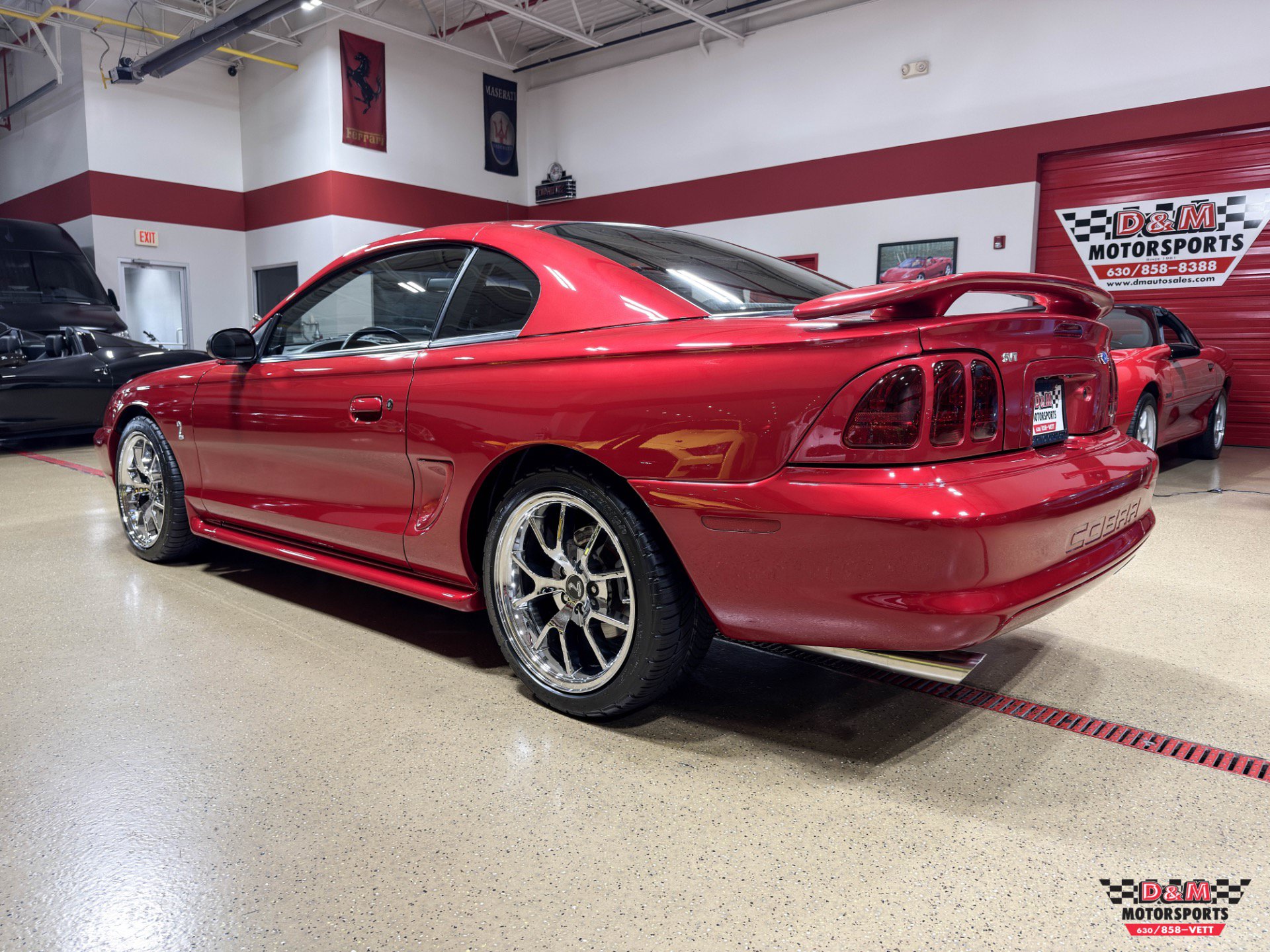 Used 1996 Ford Mustang Cobra RWD image 3