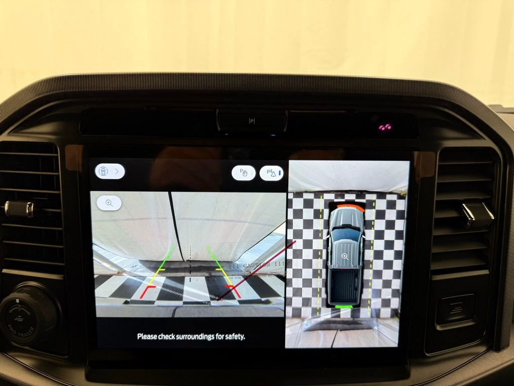 New 2025 Ford F150 Platinum image 38