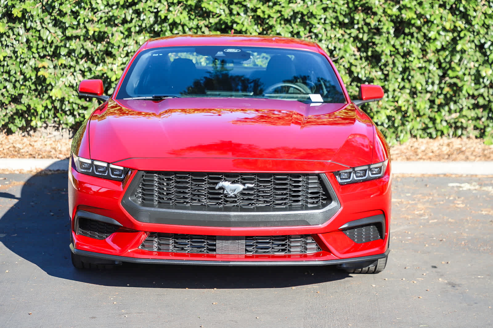 Used 2024 Ford Mustang Coupe RWD image 2