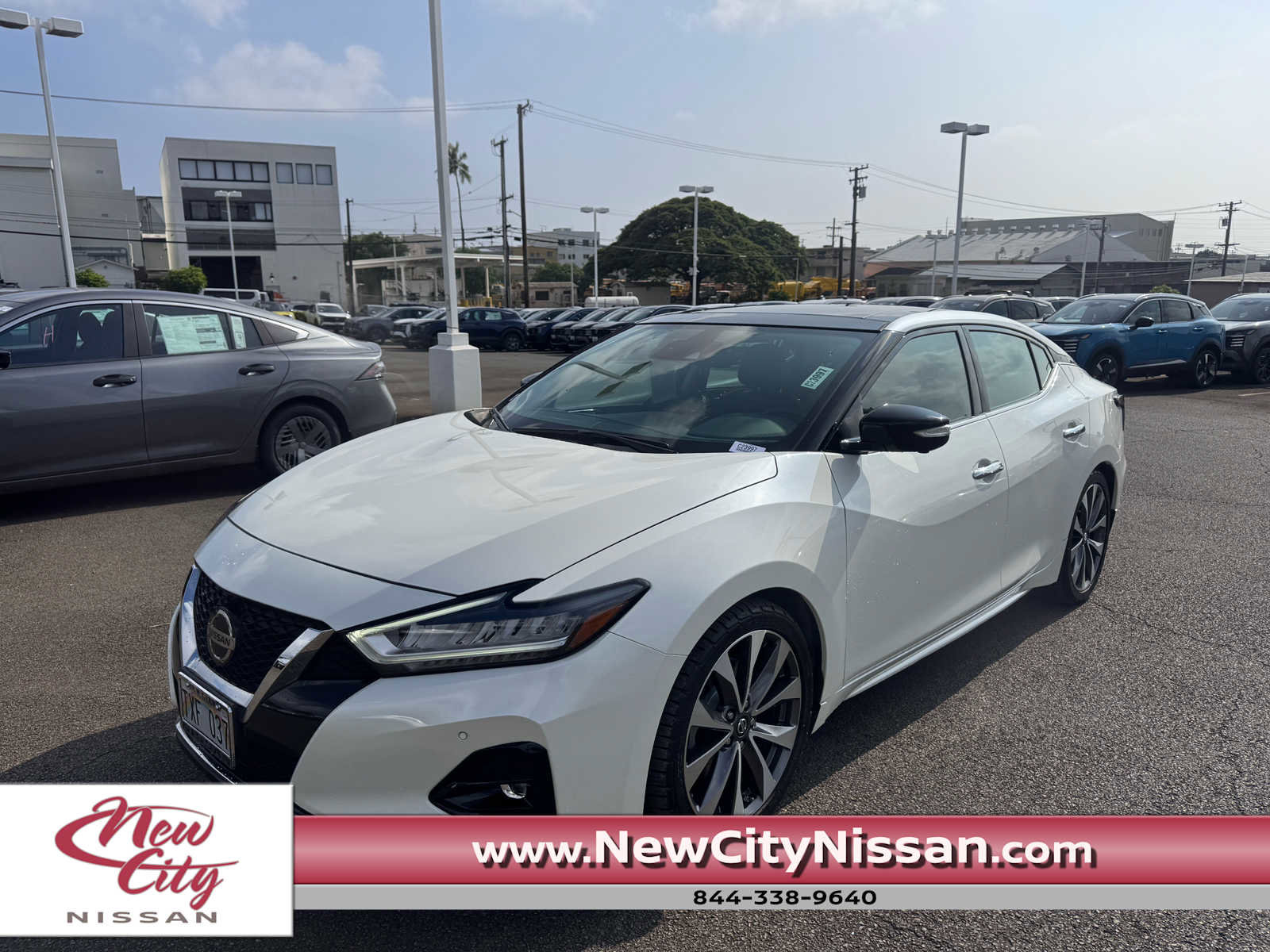 Used 2019 Nissan Maxima Platinum w/ Sport Mat Group