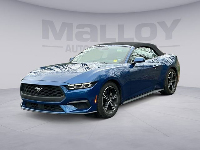 Used 2024 Ford Mustang Premium RWD image 1
