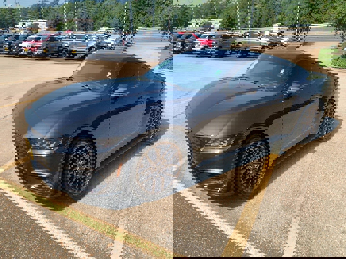 Used 2024 Ford Mustang Premium image 3