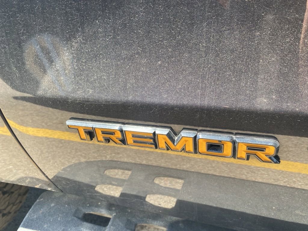 Used 2025 Ford Expedition Tremor AWD/4WD image 16