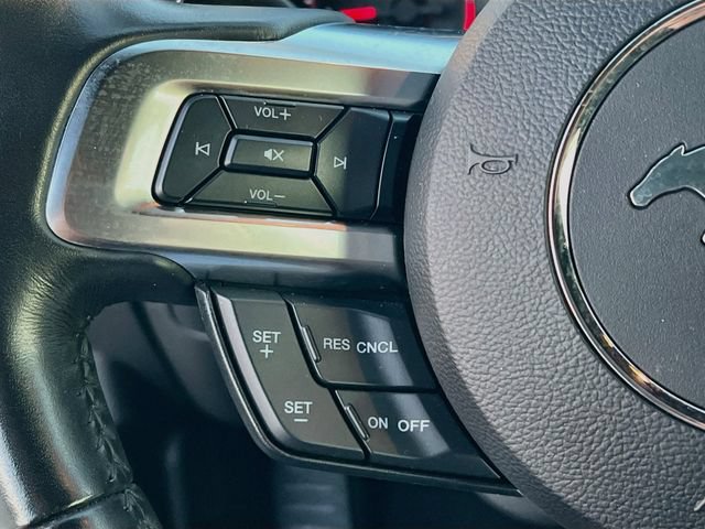 Used 2019 Ford Mustang Convertible w/ Equipment Group 101A RWD image 17