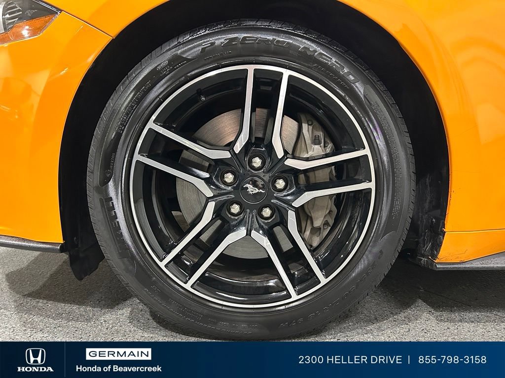 Used 2019 Ford Mustang GT Premium w/ Equipment Group 401A RWD image 13