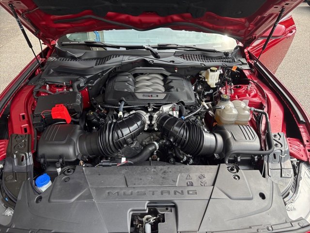 Used 2024 Ford Mustang GT image 4