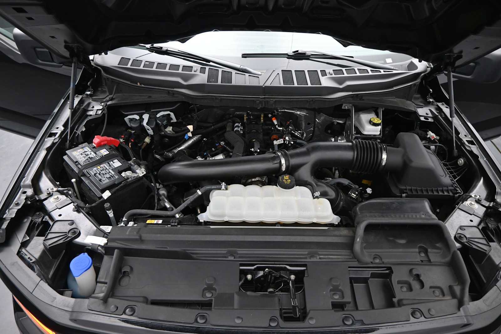 Used 2025 Ford F150 XLT w/ Equipment Group 301A Standard AWD/4WD image 28