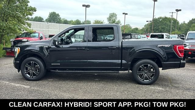 Used 2022 Ford F150 XLT w/ Equipment Group 302A High AWD/4WD image 4