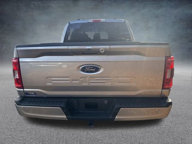 Used 2023 Ford F150 XLT w/ Equipment Group 302A High image 4