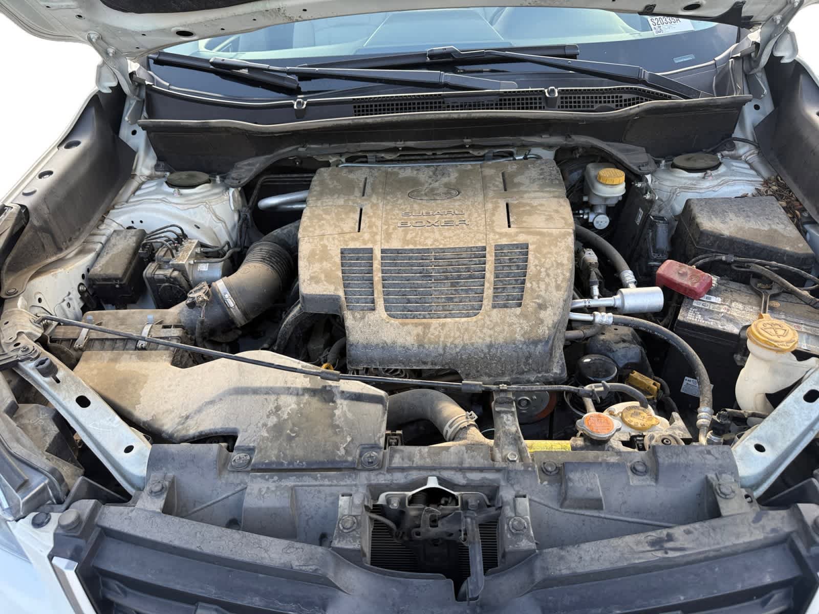 Used 2021 Subaru Forester AWD/4WD image 21