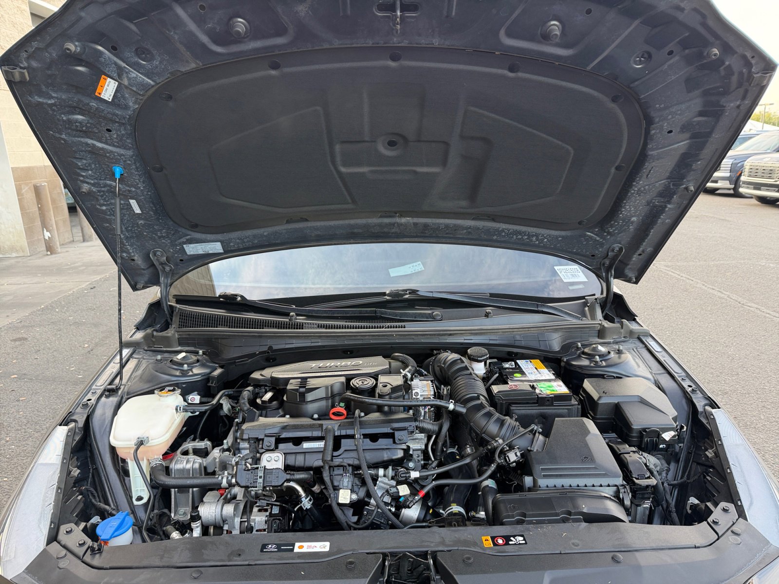 Certified 2023 Hyundai Elantra N Line image 22