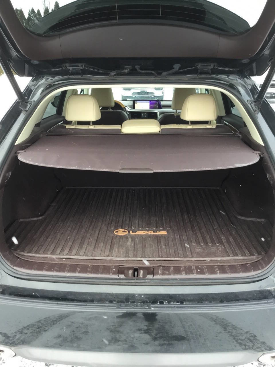 Used 2017 Lexus RX 350 F Sport image 11