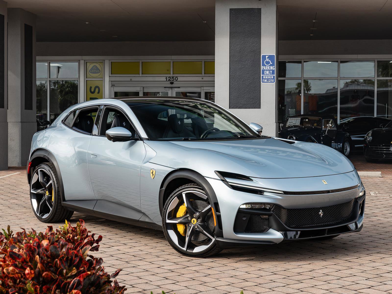 Used 2025 Ferrari Purosangue image 3