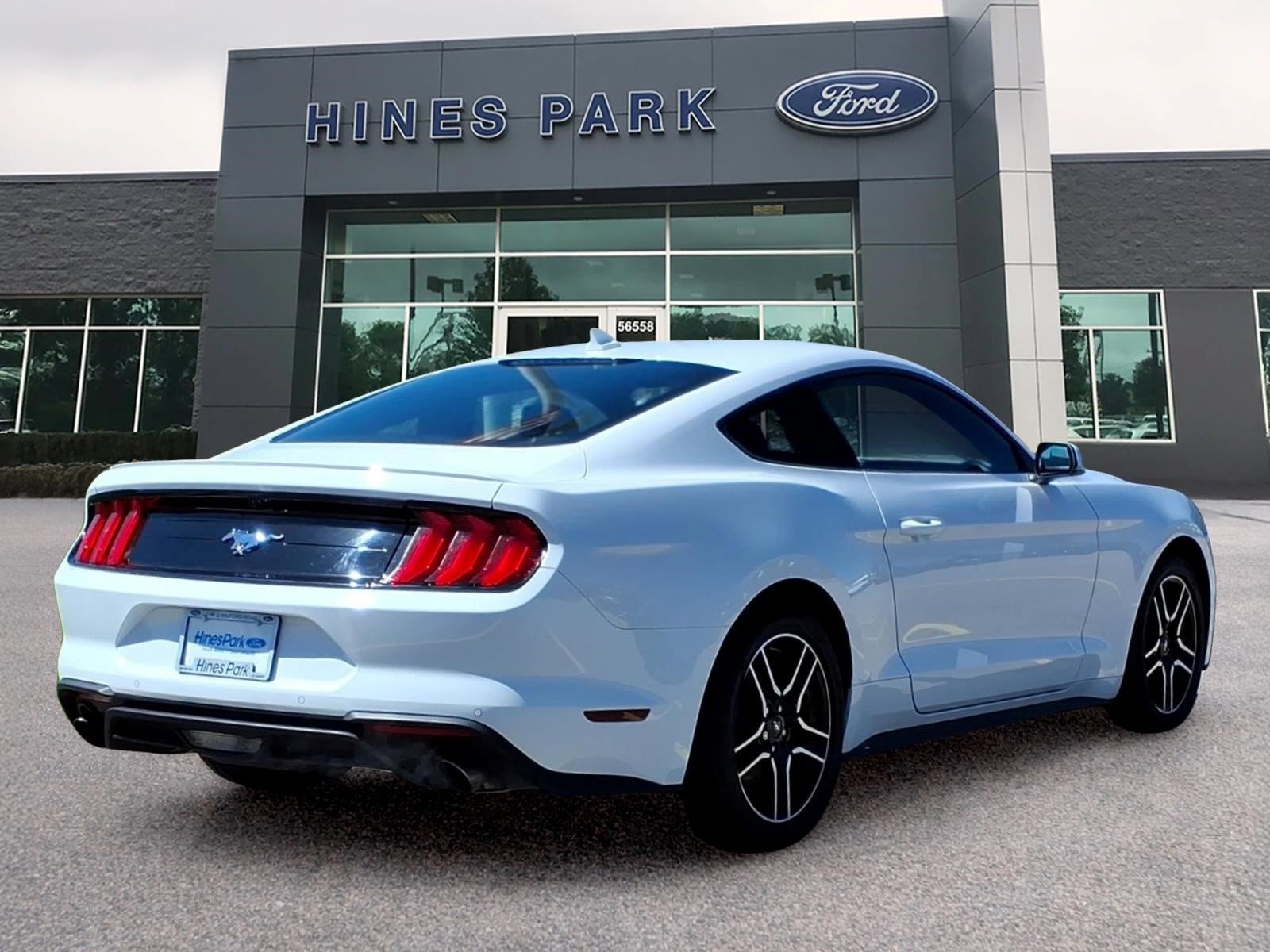 Used 2020 Ford Mustang Premium w/ Equipment Group 201A RWD image 3