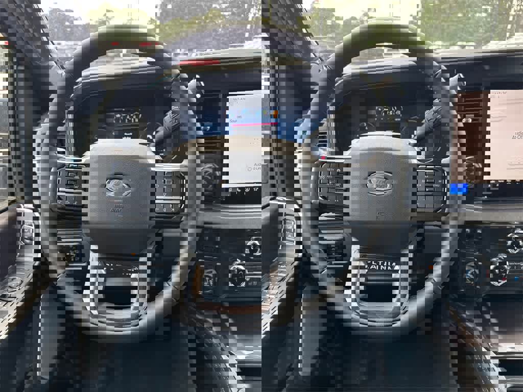 New 2026 Ford F250 Platinum image 20