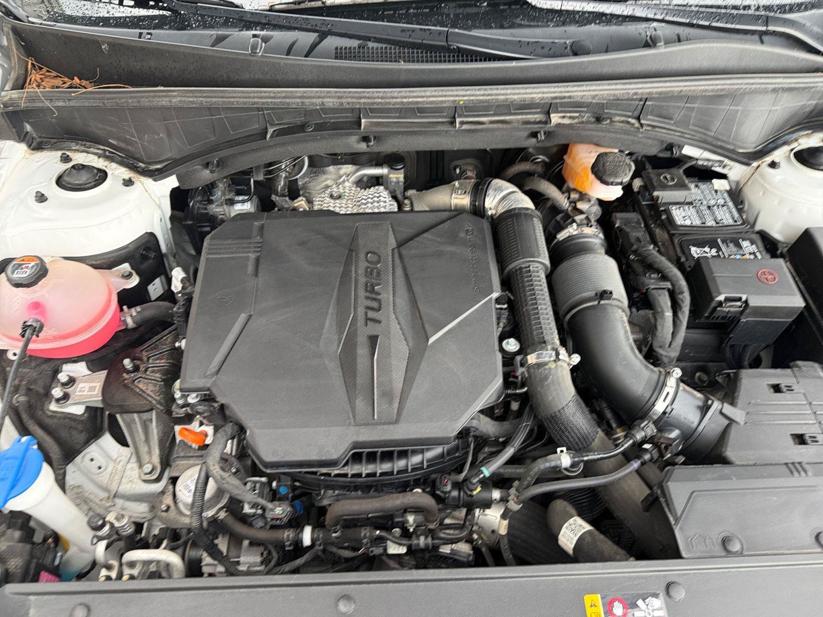 Used 2023 Kia Sorento AWD image 34