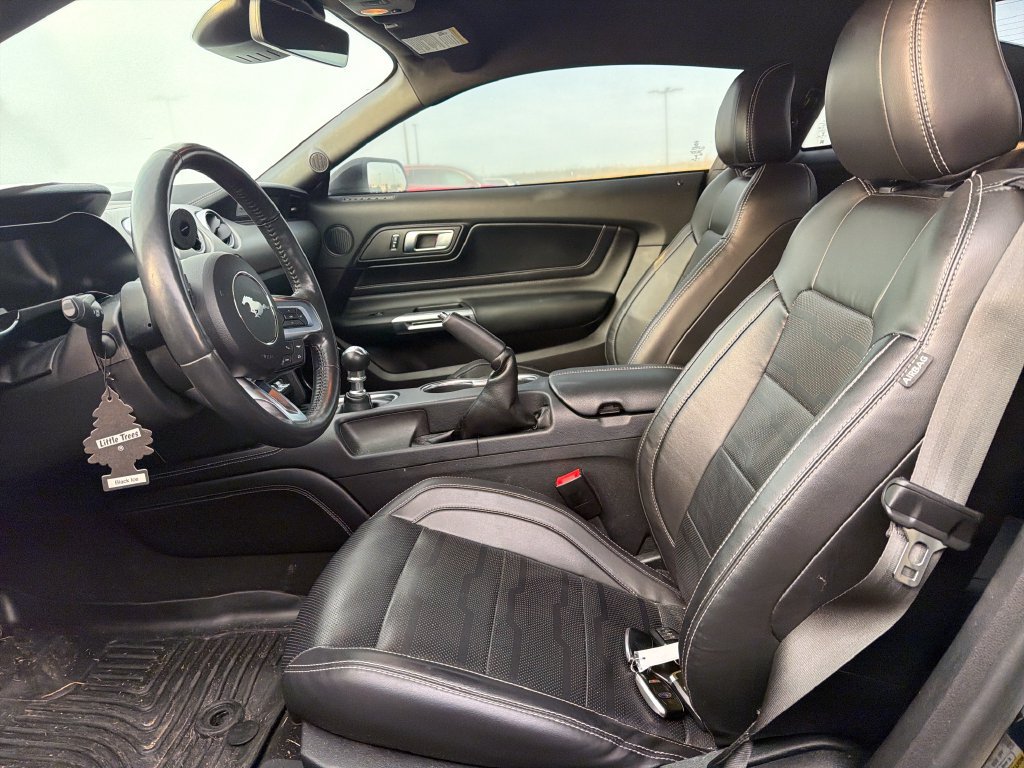 Used 2022 Ford Mustang GT Premium w/ Equipment Group 401A RWD image 19