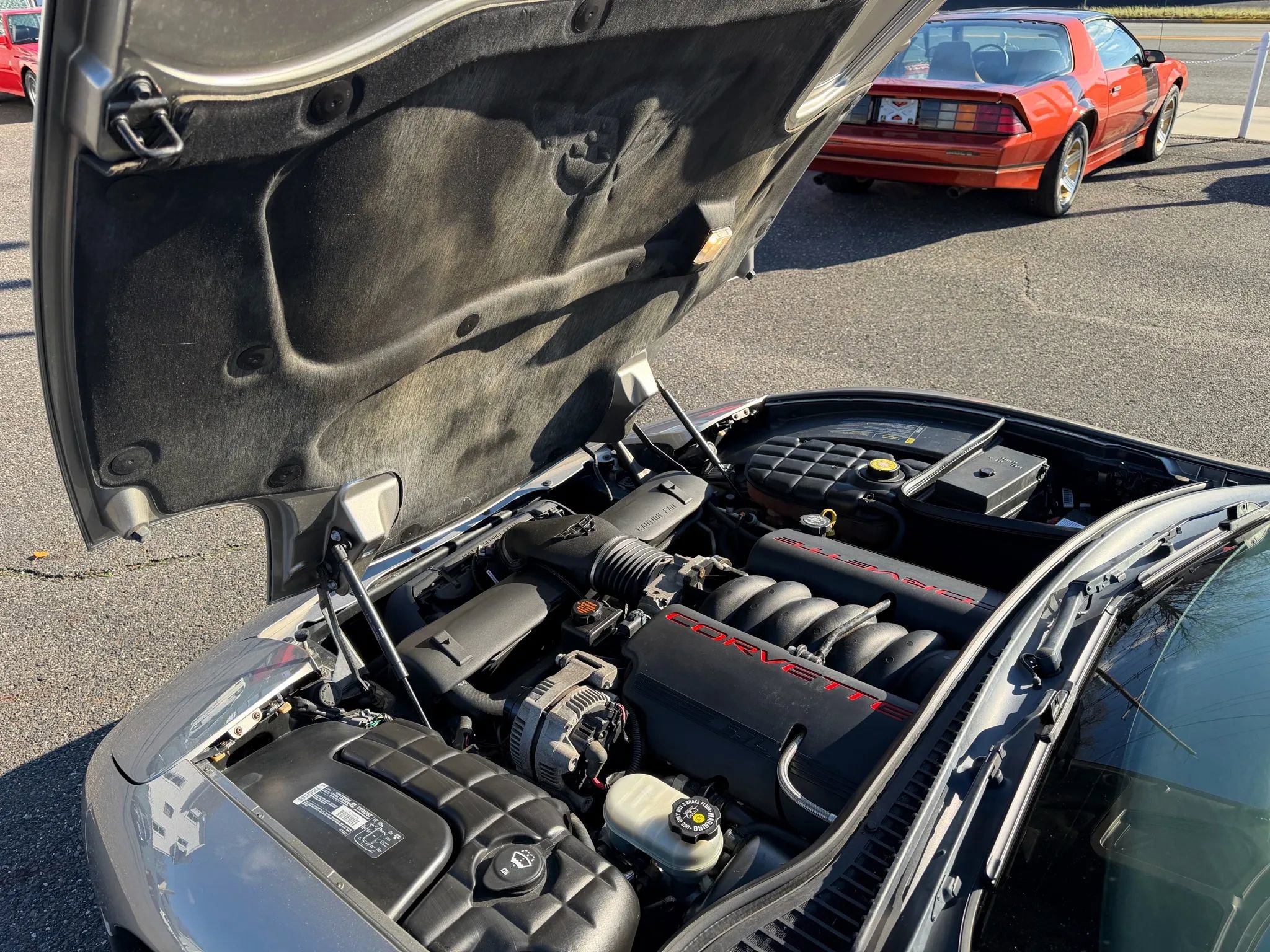 Used 2001 Chevrolet Corvette Coupe w/ Preferred Equipment Group1 image 5