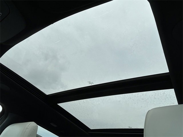 New 2025 Ford F150 Lightning Platinum image 15