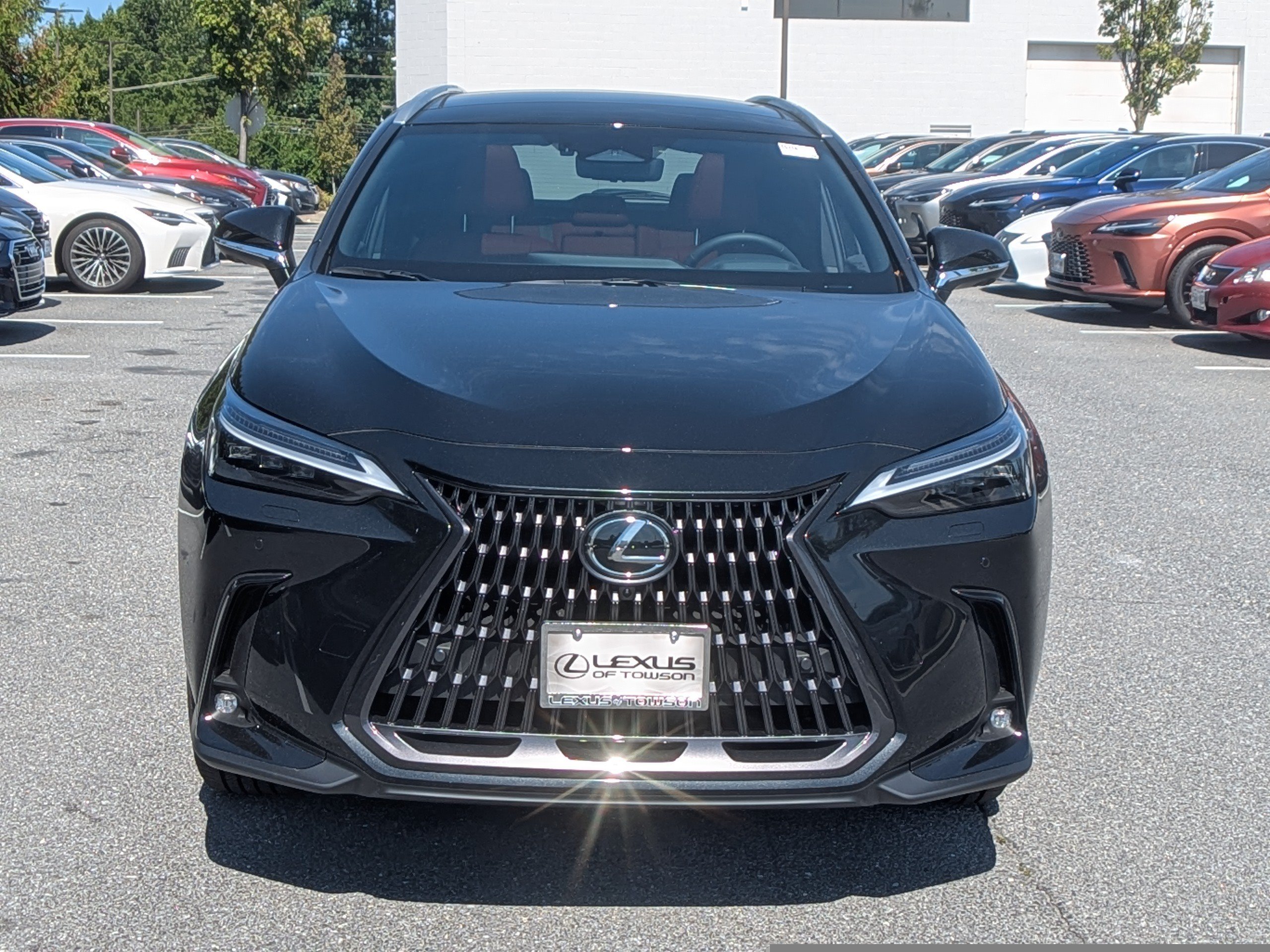 New 2026 Lexus NX 350 AWD w/ Accessory Package (2T) image 6