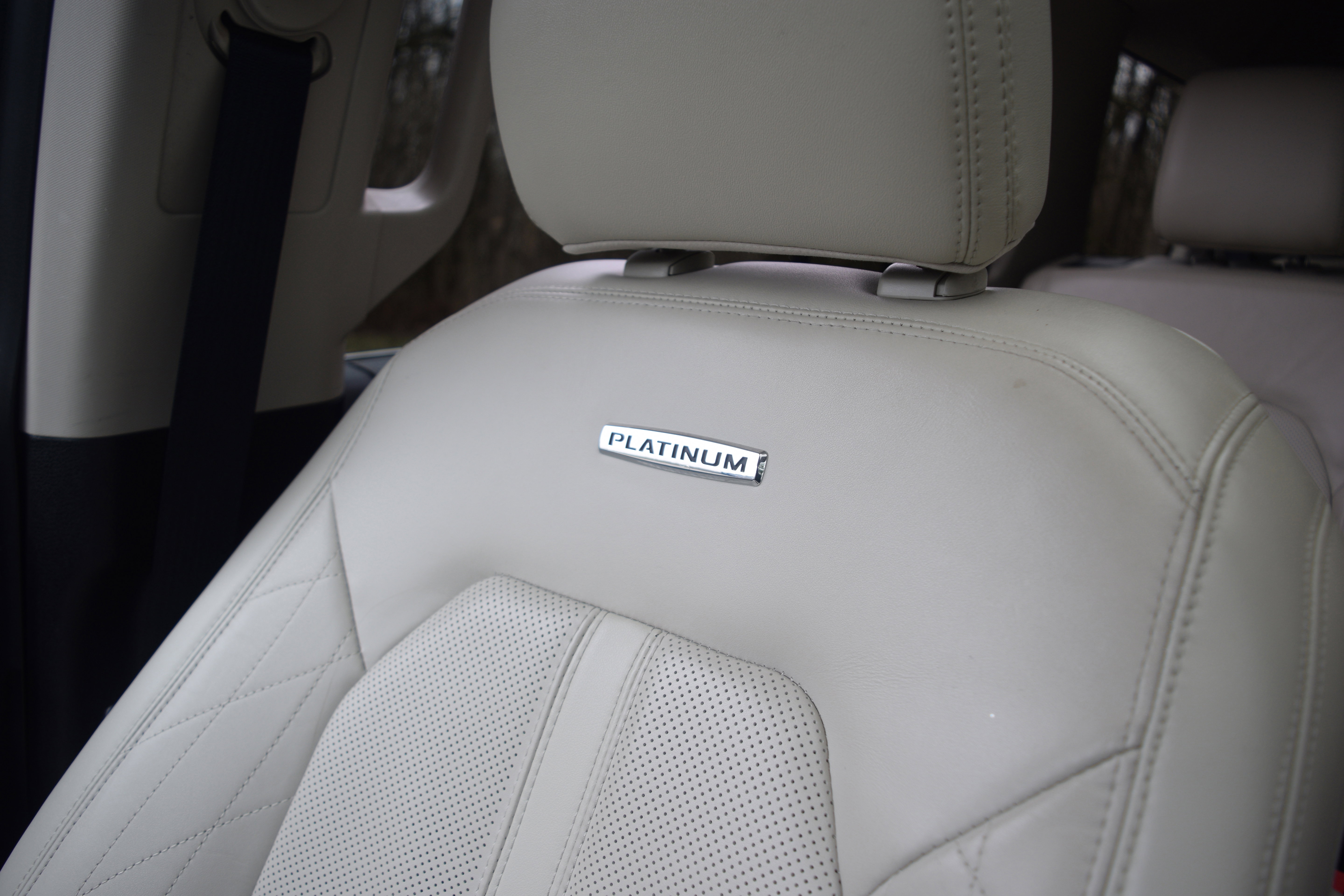 Used 2019 Ford Expedition Platinum image 21
