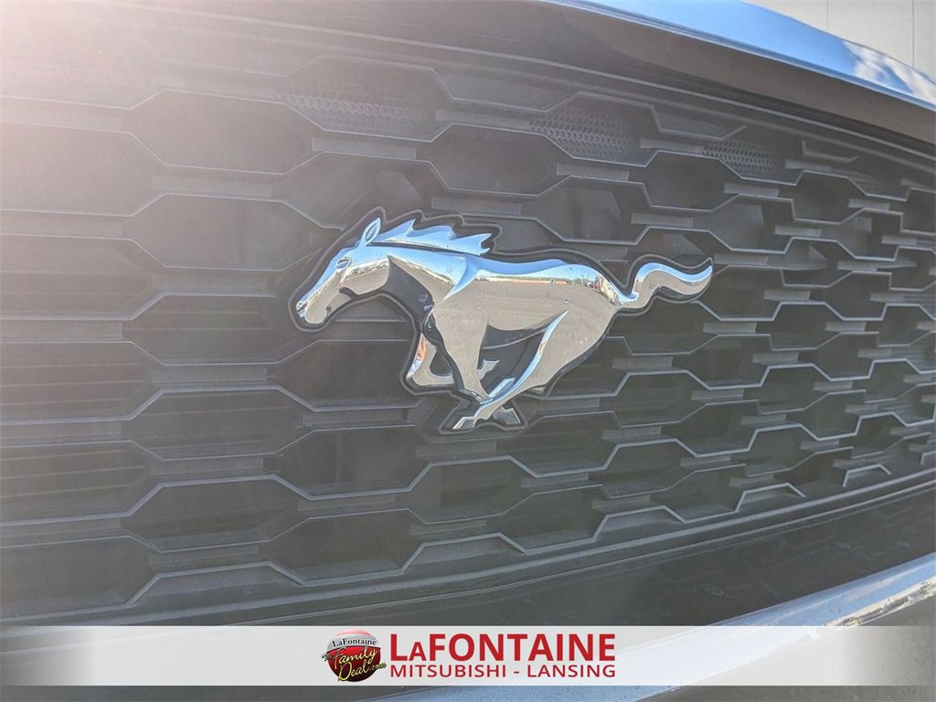 Used 2015 Ford Mustang Premium w/ Equipment Group 201A image 9