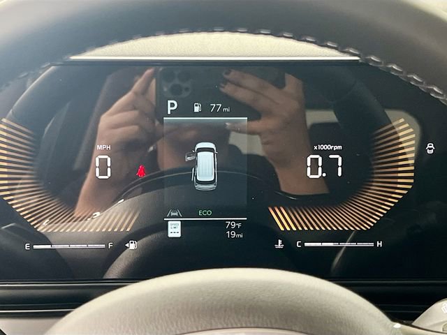 New 2026 Kia Carnival image 12