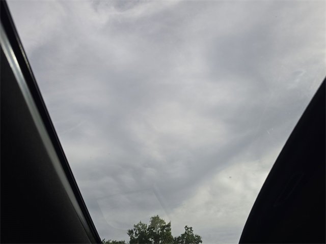 New 2026 Hyundai Palisade XRT Pro image 21