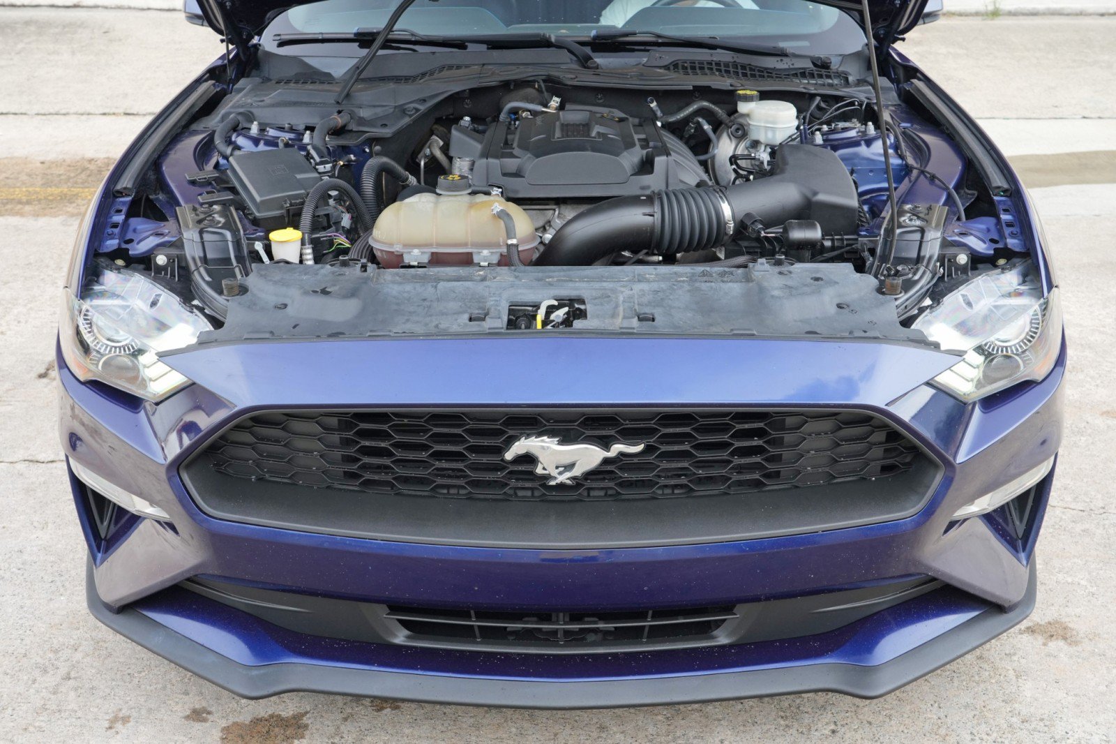 Used 2018 Ford Mustang Premium w/ Equipment Group 201A RWD image 7