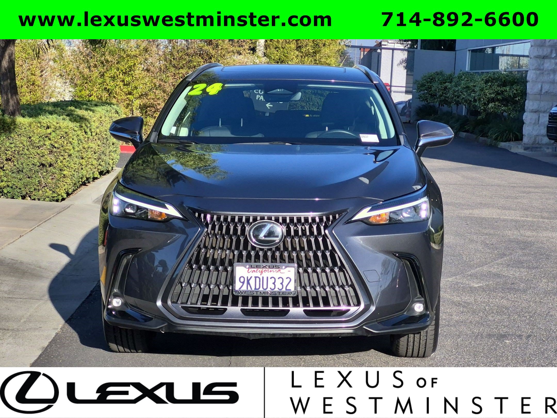 Certified 2024 Lexus NX 250 FWD image 2