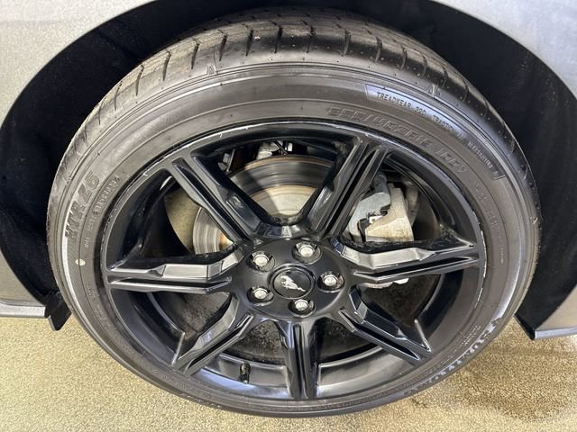 Used 2019 Ford Mustang Coupe w/ Black Accent Package RWD image 5