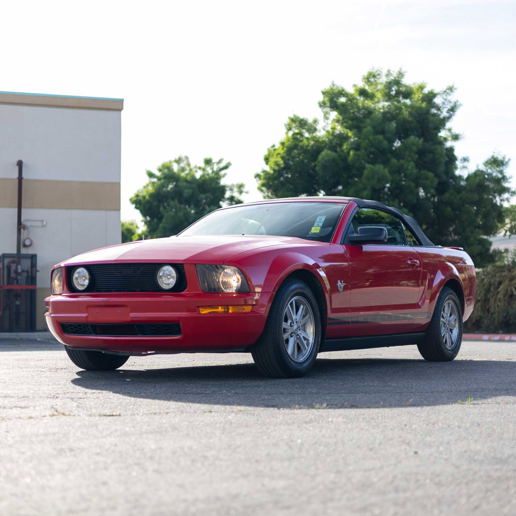 Used 2009 Ford Mustang Premium image 3