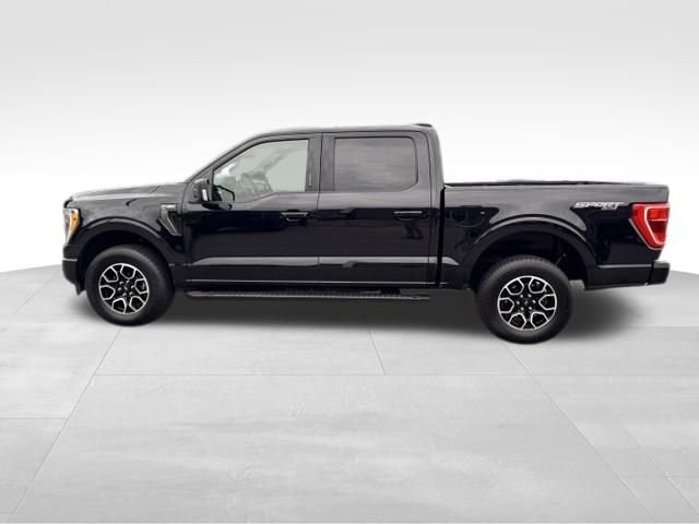 Used 2022 Ford F150 XLT w/ Equipment Group 302A High AWD/4WD image 11
