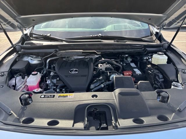 Used 2024 Lexus RX 350 Premium Plus w/ Convenience Package image 30