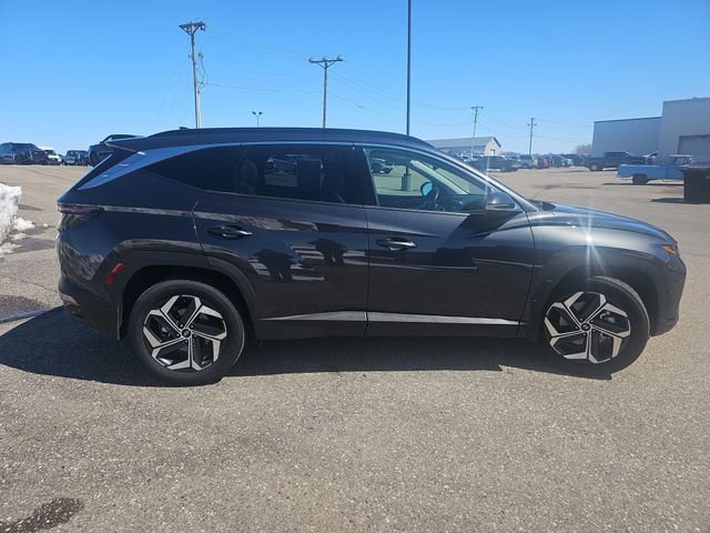 Used 2022 Hyundai Tucson Limited image 6
