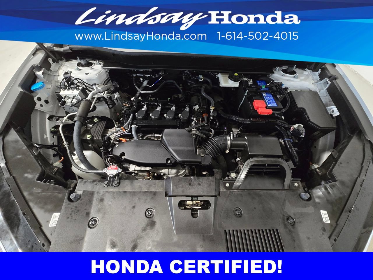 Certified 2024 Honda CR-V EX-L image 25
