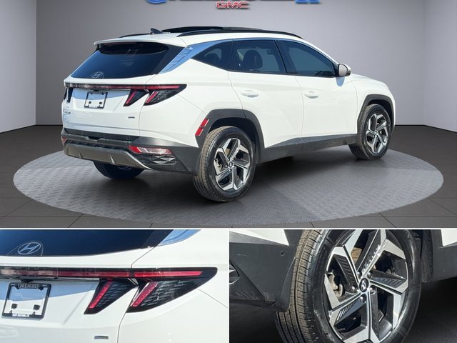 Used 2024 Hyundai Tucson Limited image 5
