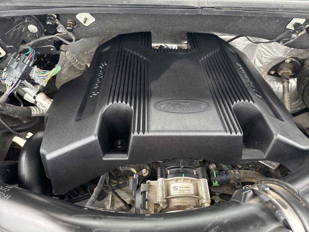 Used 2019 Ford F150 XLT w/ Equipment Group 301A Mid image 45