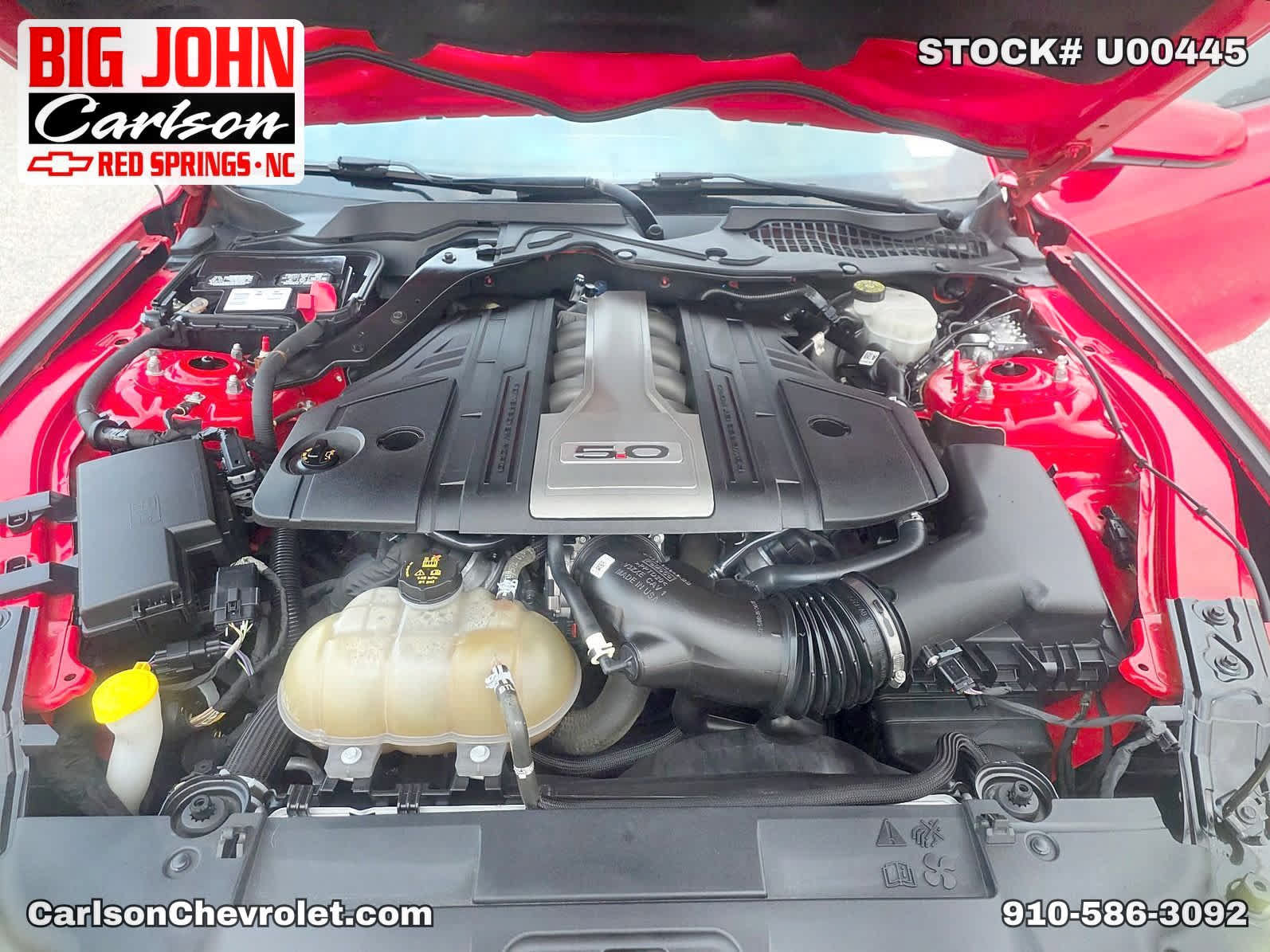 Used 2019 Ford Mustang GT RWD image 10