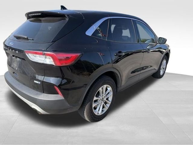 Used 2020 Ford Escape SE AWD/4WD image 4