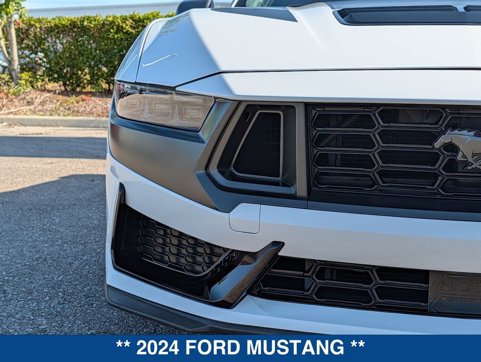 Used 2024 Ford Mustang Dark Horse RWD image 10