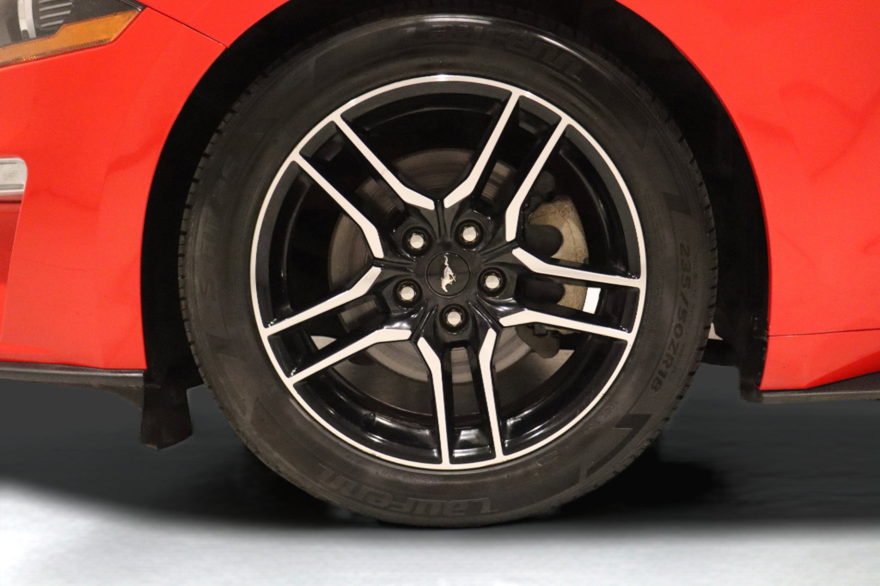 Used 2019 Ford Mustang Premium image 7